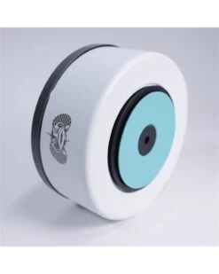 Toadfish Non-Tipping Dog Bowl - White