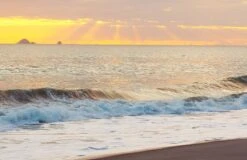 Zempire Solid Aluminium Pegs (4 Pack)