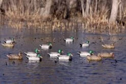 Avery Essential Series Mallard Floaters 6D/6H - 12 Pack