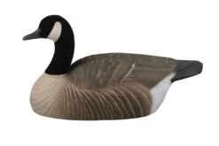 Avery Essential Canada Goose Shells (12 Pack) -Comprehensive outdoor sports 70005Se Active 0a0a