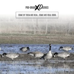 Avery Pro Grade XD Full Body Canada Goose Active - 4 Pack