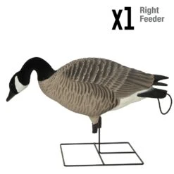 Avery Pro Grade XD Full Body Canada Goose Harvester - 4 Pack -Comprehensive outdoor sports 71592 XDhonker Harvester 4pack RightFeeder Pose 16a2