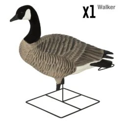 Avery Pro Grade XD Full Body Canada Goose Harvester - 4 Pack -Comprehensive outdoor sports 71592 XDhonker Harvester 4pack Walker Pose 37ed