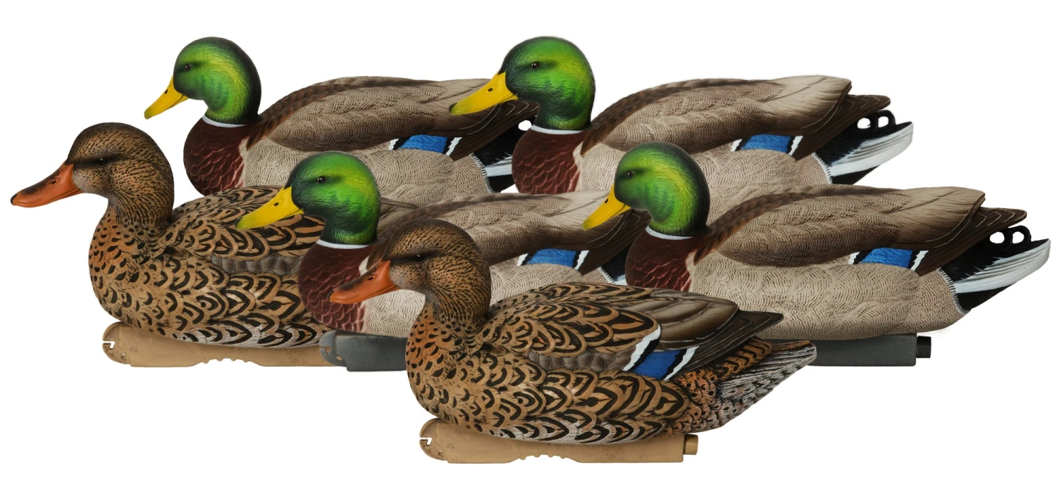 Avery PG XD Mallard Active Floaters 4D/2H 2 Avery PG XD Mallard Active Floaters 4D/2H - Image 2
