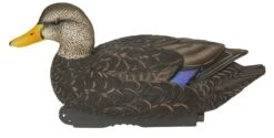 Avery PG XD Black Duck Harvester Floaters 6pk