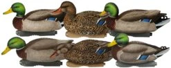Avery PG XD Mallard Harvester Floaters 4D/2H -Comprehensive outdoor sports 76118 PG XD Series Mallards Harvester 6 Pack Studio 0204