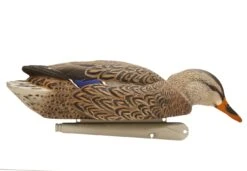 Avian X Topflight Fusion Mallards 3D/3H - 6 Pack 8 Avian X Topflight Fusion Mallards 3D/3H - 6 Pack -Comprehensive outdoor sports AX8076 Mallard Hen Feeder 0f9a