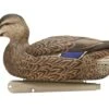 Avian X Topflight Fusion Mallards 3D/3H - 6 Pack