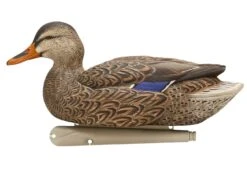 Avian X Topflight Fusion Mallards 3D/3H - 6 Pack