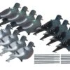Birdlands Pigeon Decoy With Stake 15in 12pk