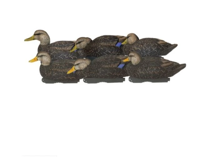 Avian X Topflight Flocked Black Ducks 3D/3H - 6 Pack 1 Avian X Topflight Flocked Black Ducks 3D/3H - 6 Pack