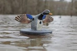 Mojo ES Floater Mallard Drake