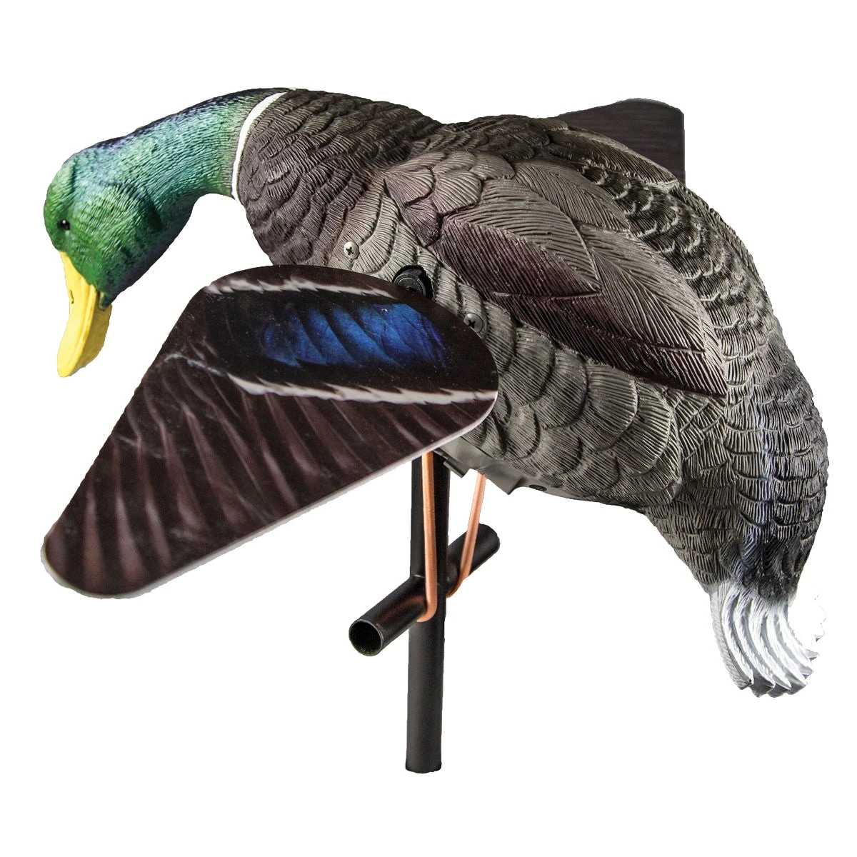 Lucky Duck Lucky HD Drake 2 Lucky Duck Lucky HD Drake - Image 2