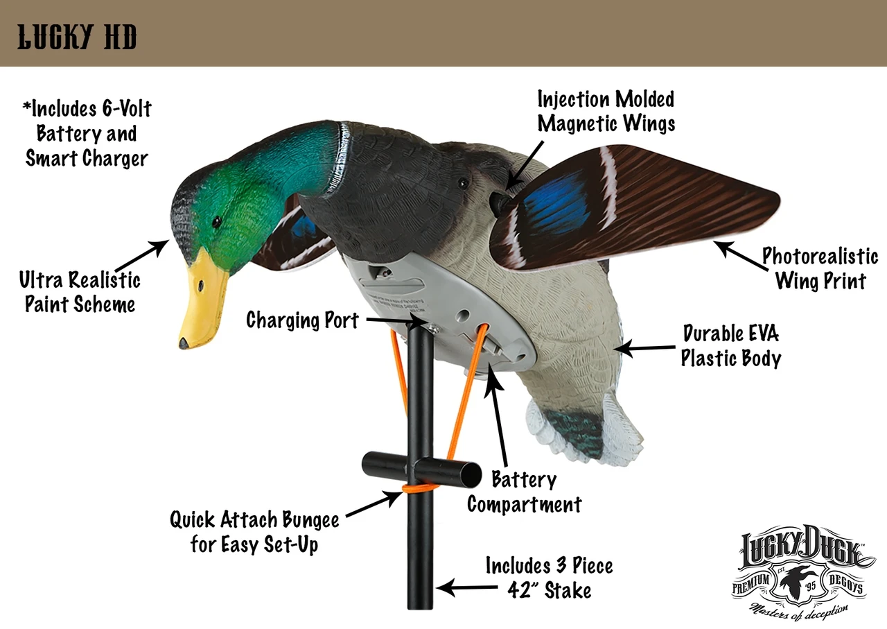 Lucky Duck Lucky HD Drake 1 Lucky Duck Lucky HD Drake