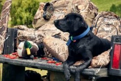 Hunting & Fishing Dog Bed Camo -Comprehensive outdoor sports MattQue re e HuntingandFishing Duck23 5046 1d02