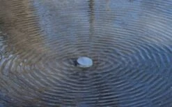 Lucky Duck Quiver Magnet H2O