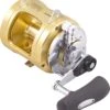 Shimano Tiagra 80W Game Reel