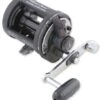 Shimano TR2000LD Charter Special Overhead Reel