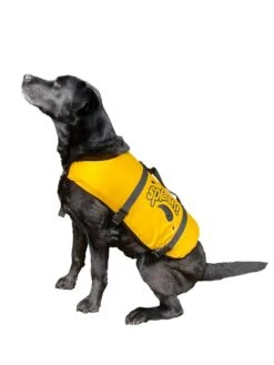 Hutchwilco Splash Dog Vest - Extra Large
