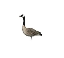 Avian X AXP Honker Fusion Full Body Pack (6) -Comprehensive outdoor sports avian x 0089 avx9006 full body canada goose decoy 54361 bb5d