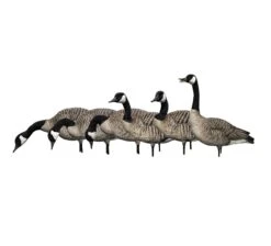 Avian X AXP Honker Fusion Full Body Pack (6) -Comprehensive outdoor sports avian x 0091 avx9006 full body canada goose decoy 10681 1 5432