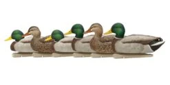 Avian X Topflight Open Water Floating Mallards 4D/2H - 6 Pack -Comprehensive outdoor sports avx8060 topflight mallards open water pack 5918