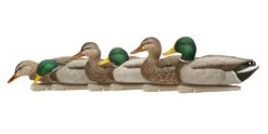 Avian X Topflight Fusion Mallards 3D/3H - 6 Pack 11 Avian X Topflight Fusion Mallards 3D/3H - 6 Pack -Comprehensive outdoor sports avx8076 topflight mallards fusion pack image 1 1 492a