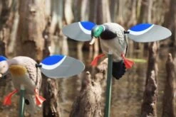 Mojo Magnetic Wing Set Baby/Floater -Comprehensive outdoor sports baby drake 611337533 0e7d