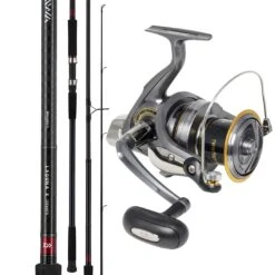 Daiwa Shorecast 6000 Reel / Laguna X 1303