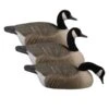 Avery Essential Canada Goose Shells (12 Pack)